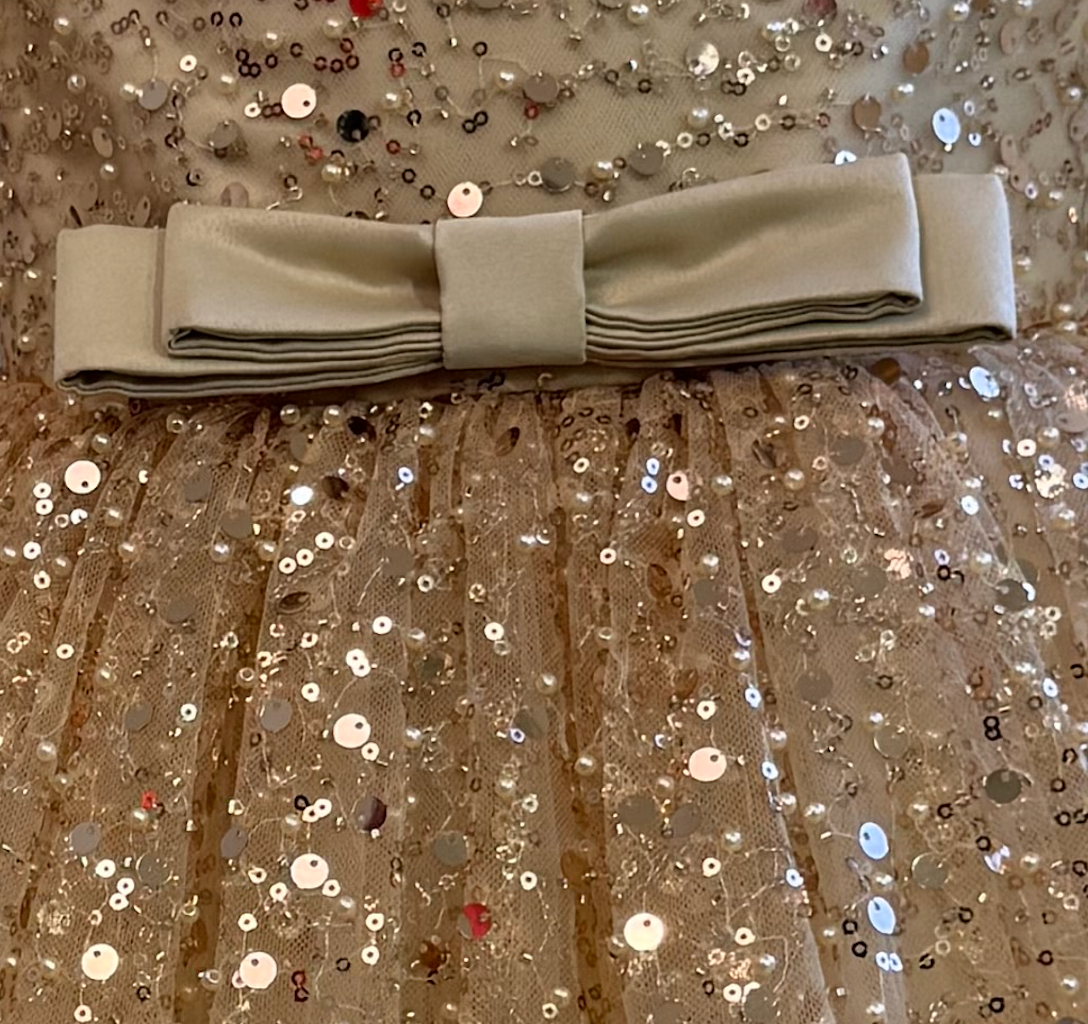 Zara - Robe de fête à manches longues en tulle et sequins perlé pour fille